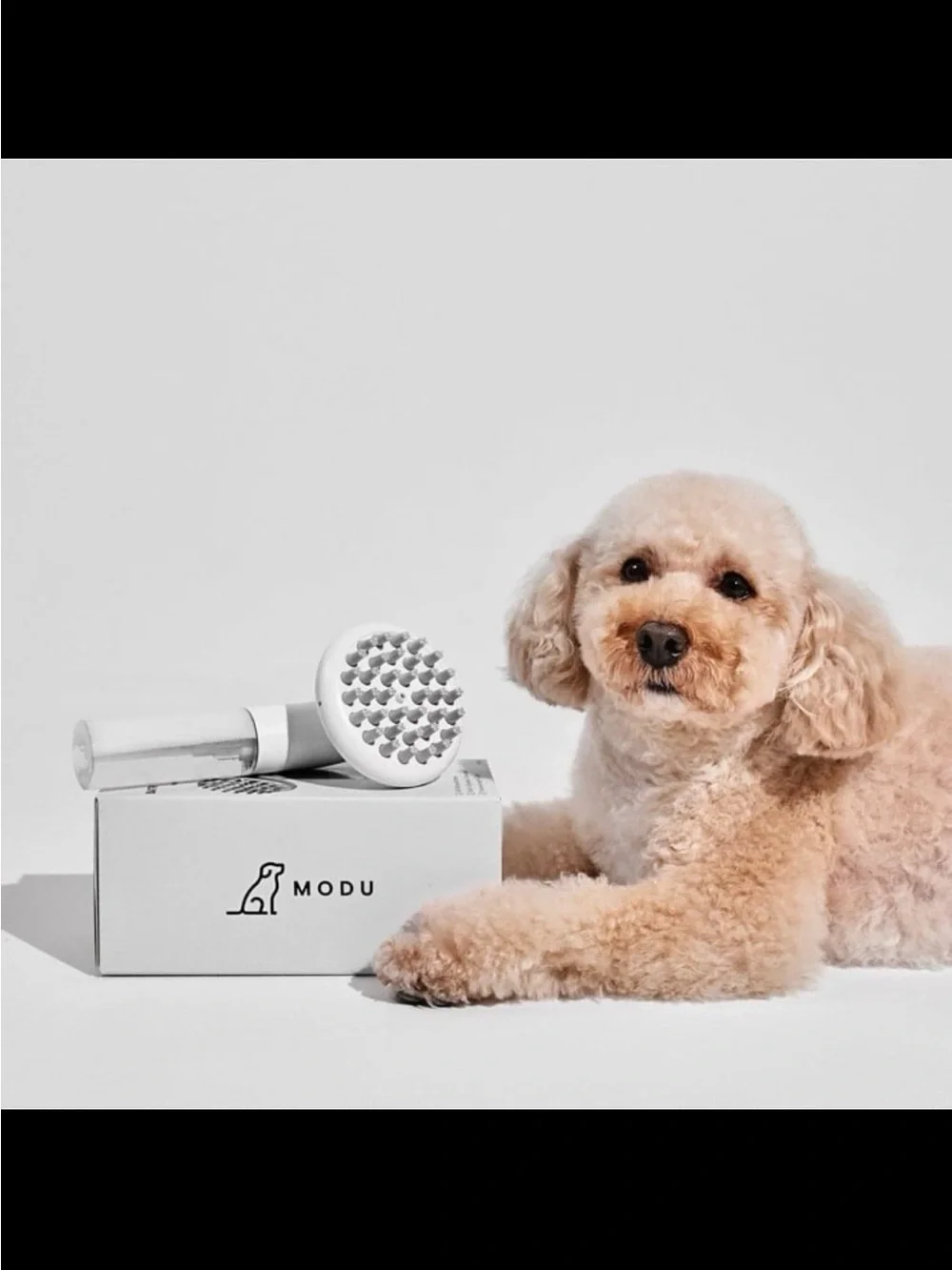 White Dog Grooming Foam Dispenser Brush